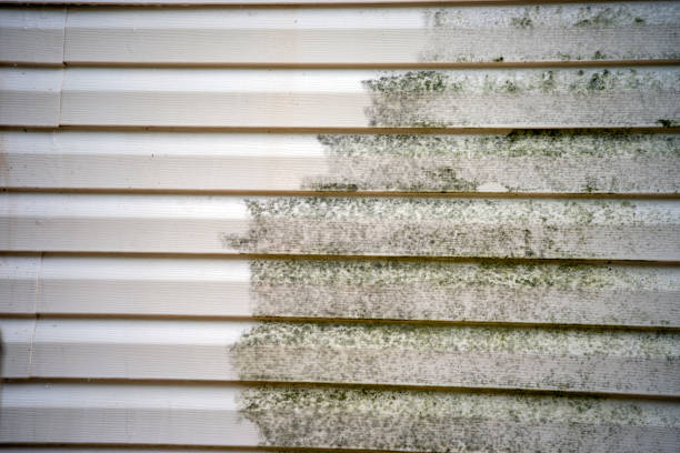 Best Property Management Cleanouts  in West Hempstead, NY